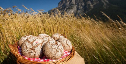 Pane di segale